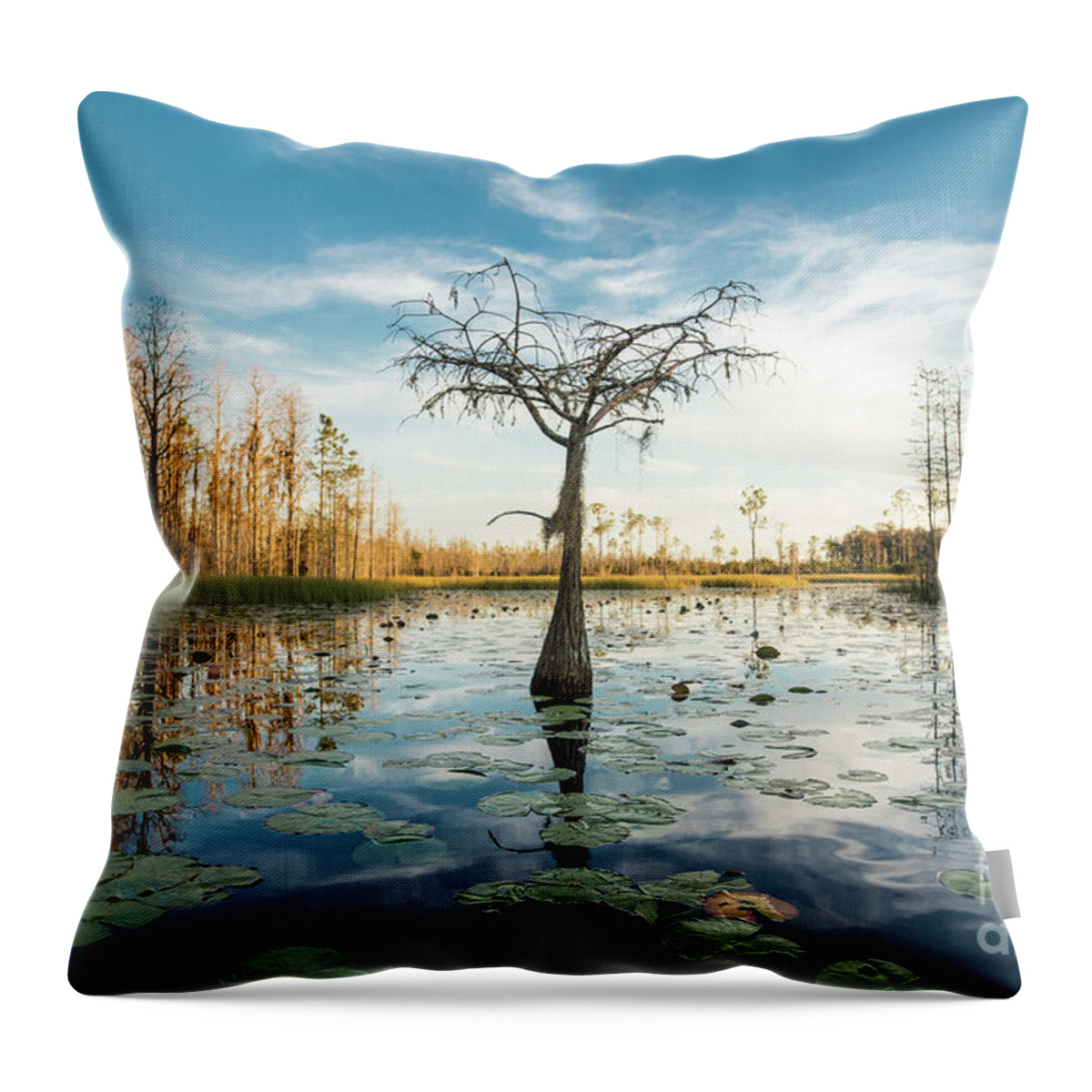 https://render.fineartamerica.com/images/rendered/default/throw-pillow/images/artworkimages/medium/3/a-lone-cypress-tree-stands-in-a-pond-of-lilypads-in-the-okefenok-john-wollwerth.jpg?&targetx=-119&targety=0&imagewidth=718&imageheight=479&modelwidth=479&modelheight=479&backgroundcolor=4D94B4&orientation=0&producttype=throwpillow-14-14