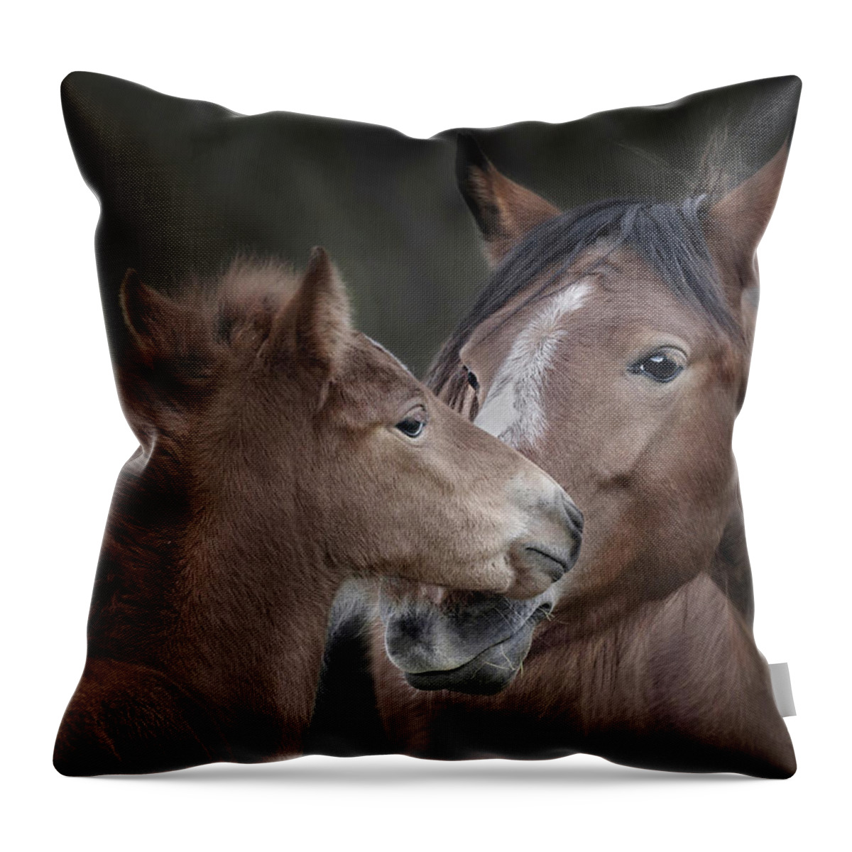 Stallion Throw Pillow featuring the photograph A Mare's Watchful Eye. by Paul Martin