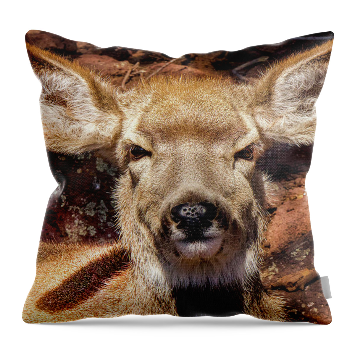 Deer Throw Pillow featuring the photograph A Mule Deer by Laura Putman