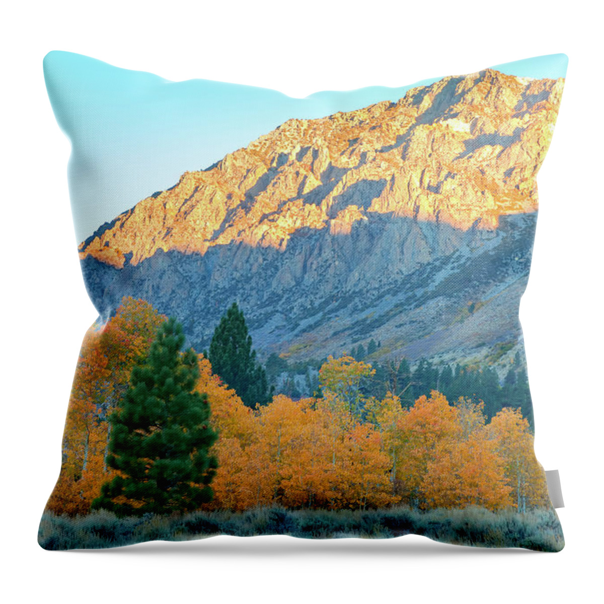 Fall Throw Pillow featuring the photograph A New Day by Jonathan Nguyen