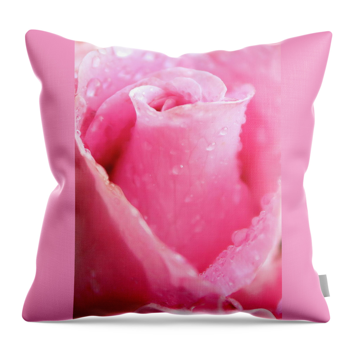 Rose Throw Pillow featuring the photograph A Rose Is A Rose by Lens Art Photography By Larry Trager