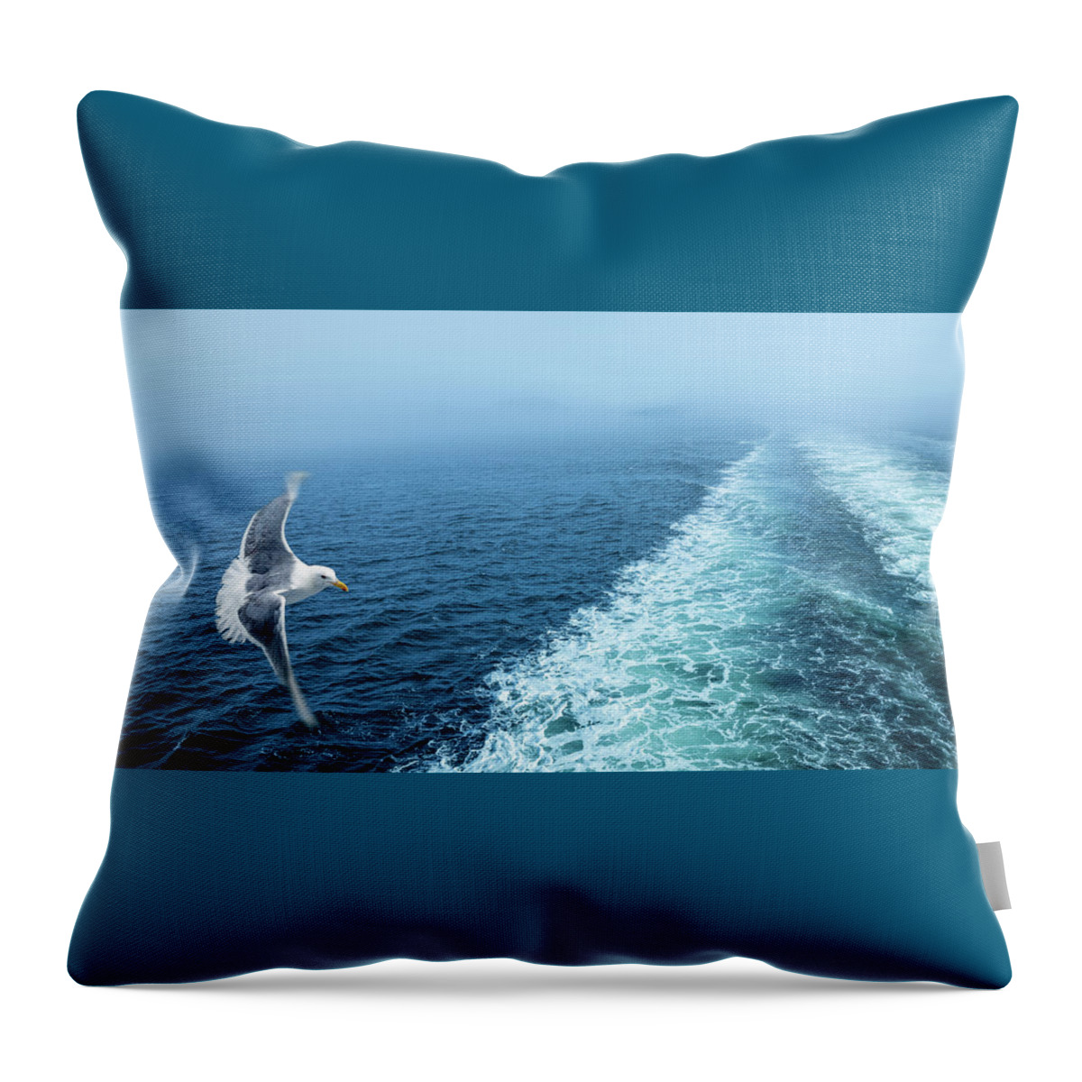 Aqua Throw Pillow featuring the photograph A seagull chasing a ferry by Manpreet Sokhi
