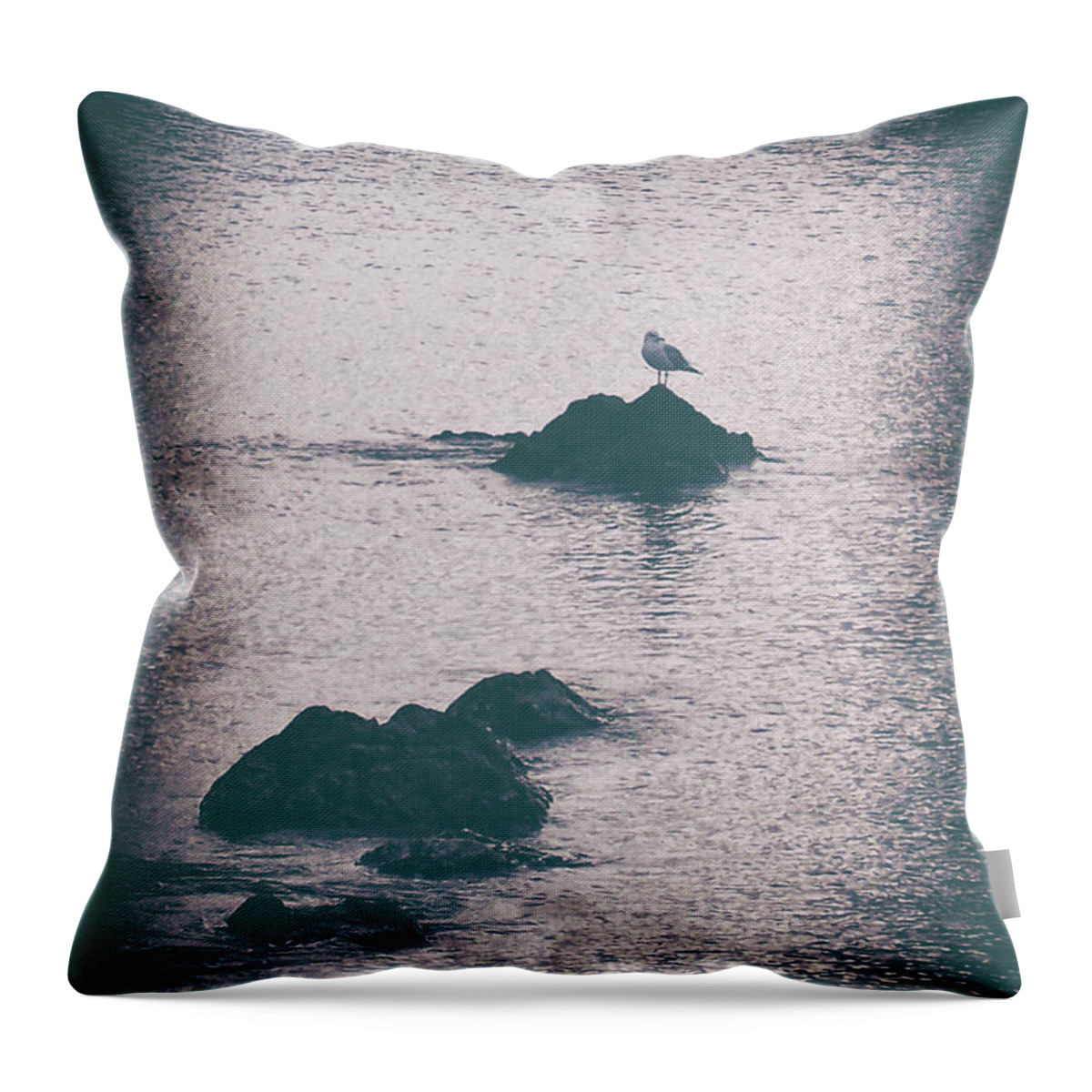 Vintage Throw Pillow featuring the photograph A Seagull Rests by Phil Perkins