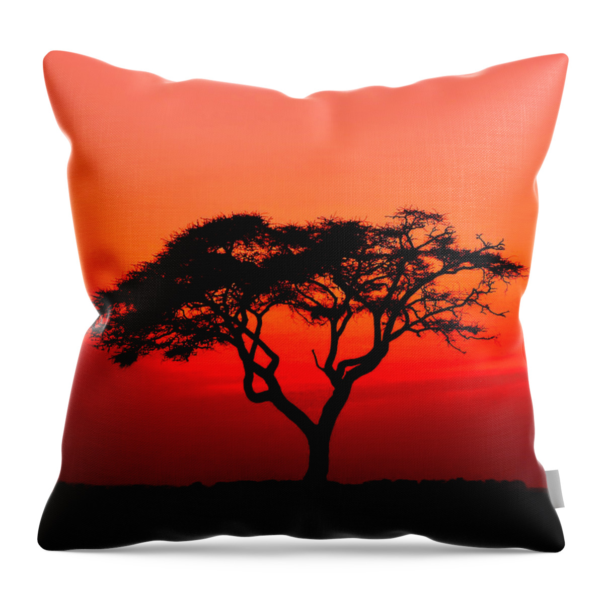 Africa Throw Pillow featuring the photograph A Solitary Acacia Tree in the African Sunset by Mitchell R Grosky