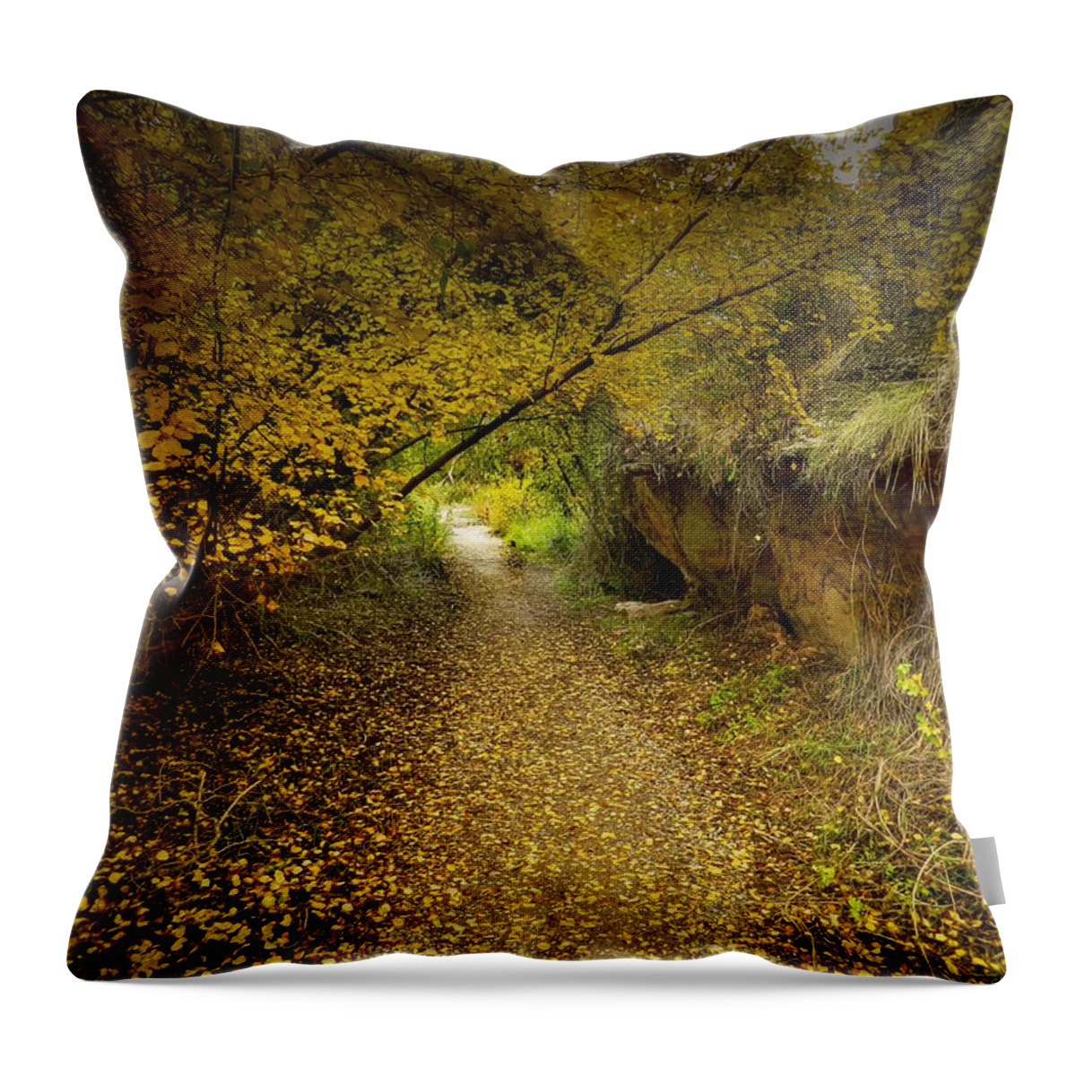 Autumnal Throw Pillow featuring the photograph A True Autumn Day by Laura Putman