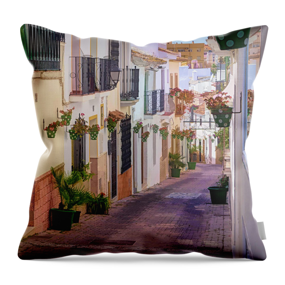 Andalusian City Throw Pillow featuring the photograph A visit to the city of Estepona - 7 by Jordi Carrio Jamila
