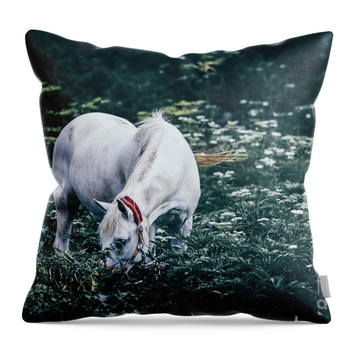 Horse Throw Pillow featuring the photograph A white horse grazes on a meadow II by Dimitar Hristov