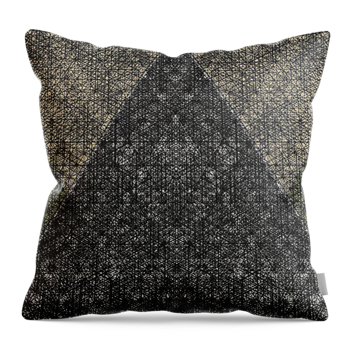  Throw Pillow featuring the digital art O3MSCCx2xx10 by Primary Design Co