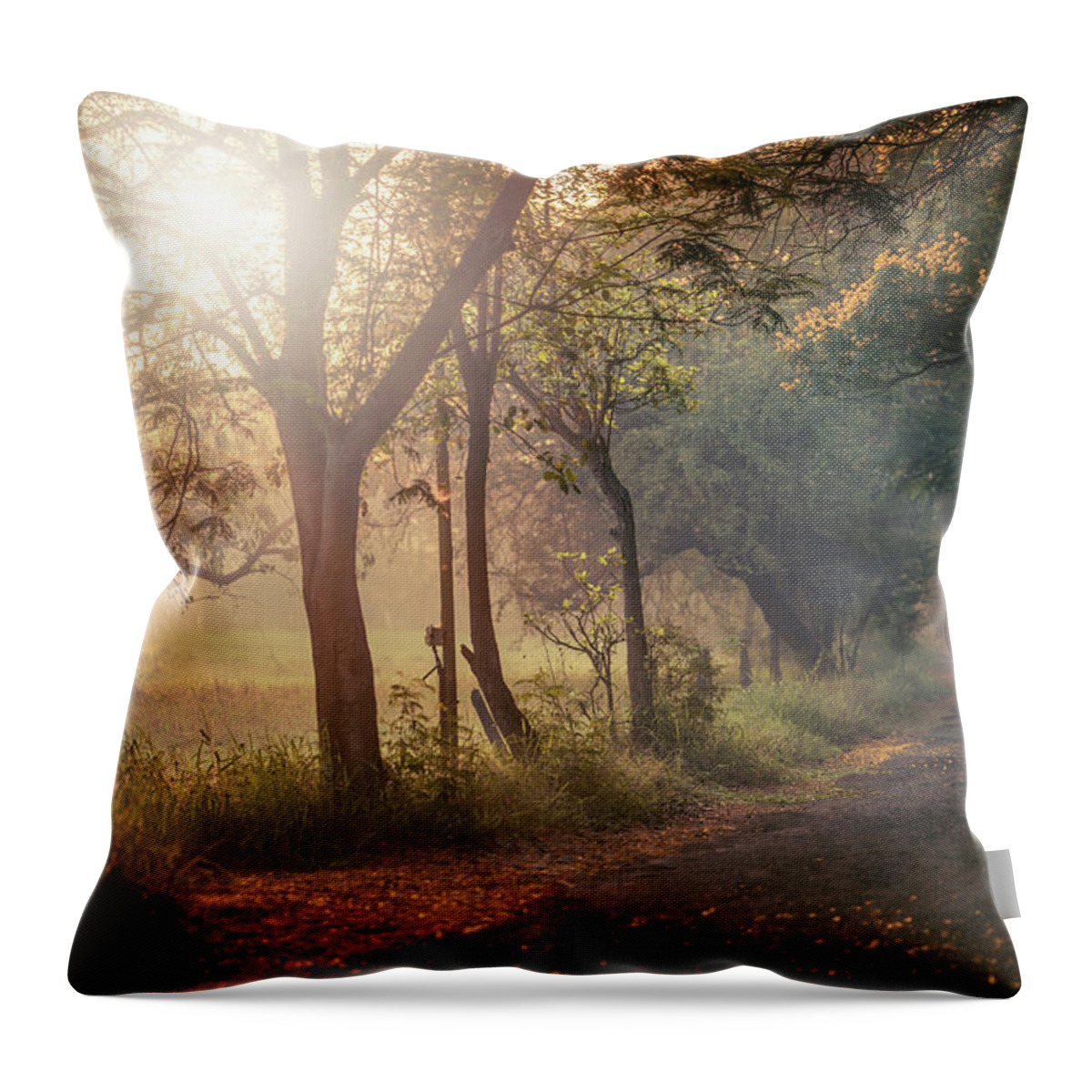 Photography Throw Pillow featuring the photograph Aarey Stroll by Craig Boehman