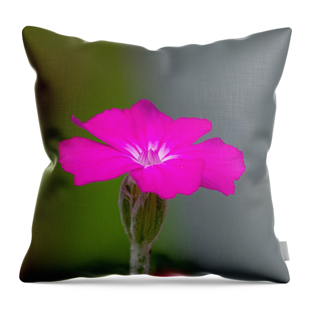 Flower Throw Pillow featuring the photograph Above the Pink Cloud by Linda Bonaccorsi