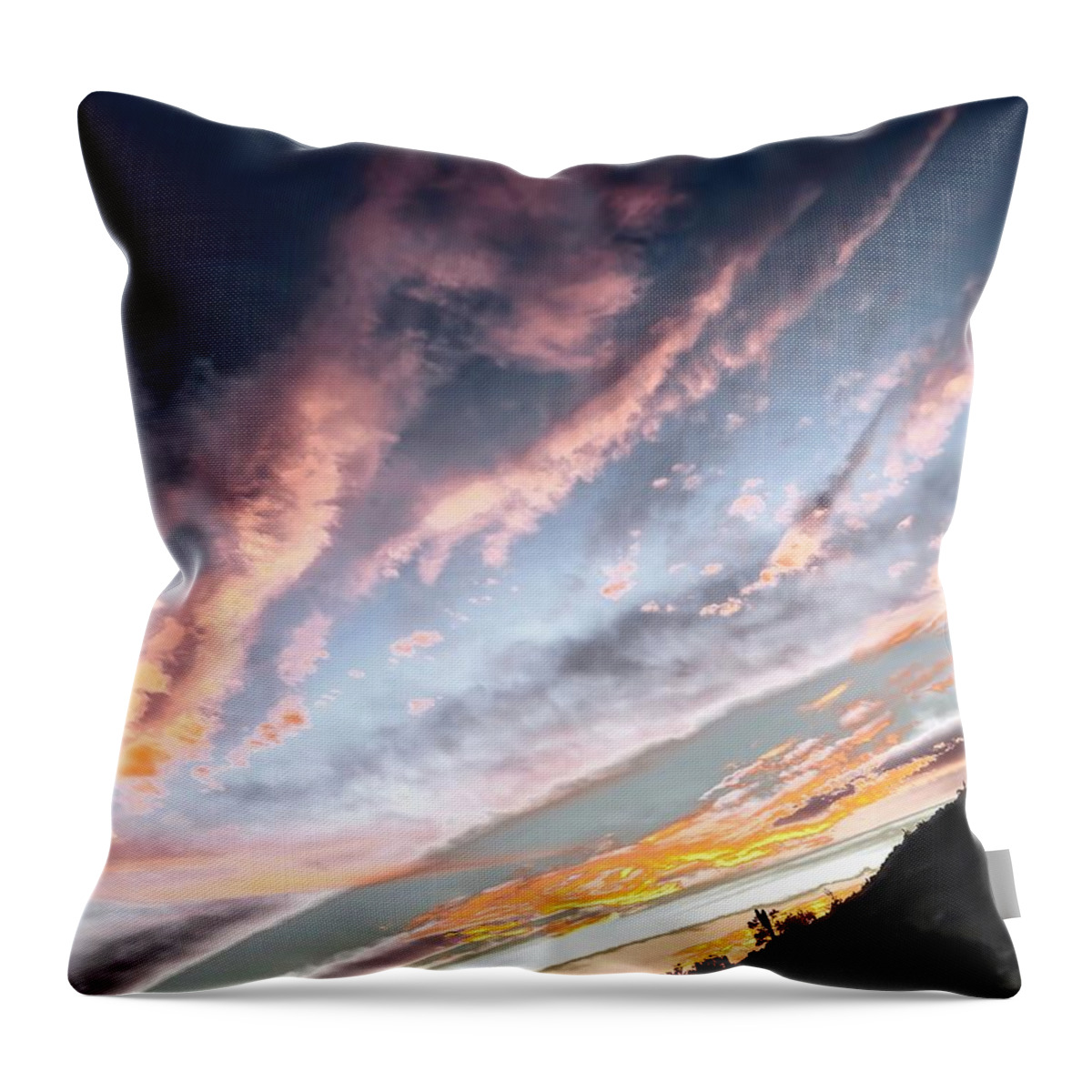 Icon Throw Pillow featuring the photograph Abstracted by a Moment of Resplendant Luminosity by Judy Kennedy