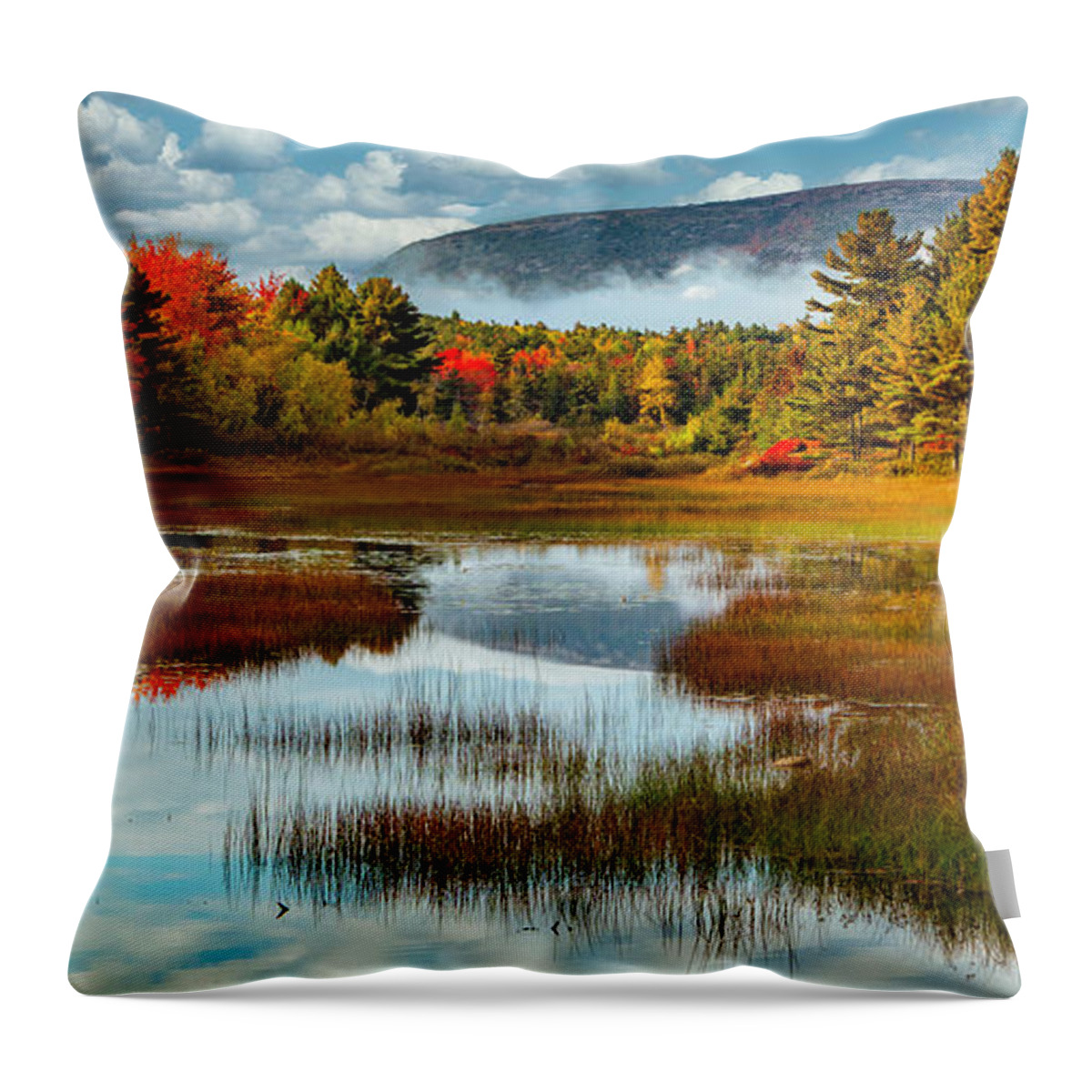  Throw Pillow featuring the photograph Acadia Meadow by Gary Johnson