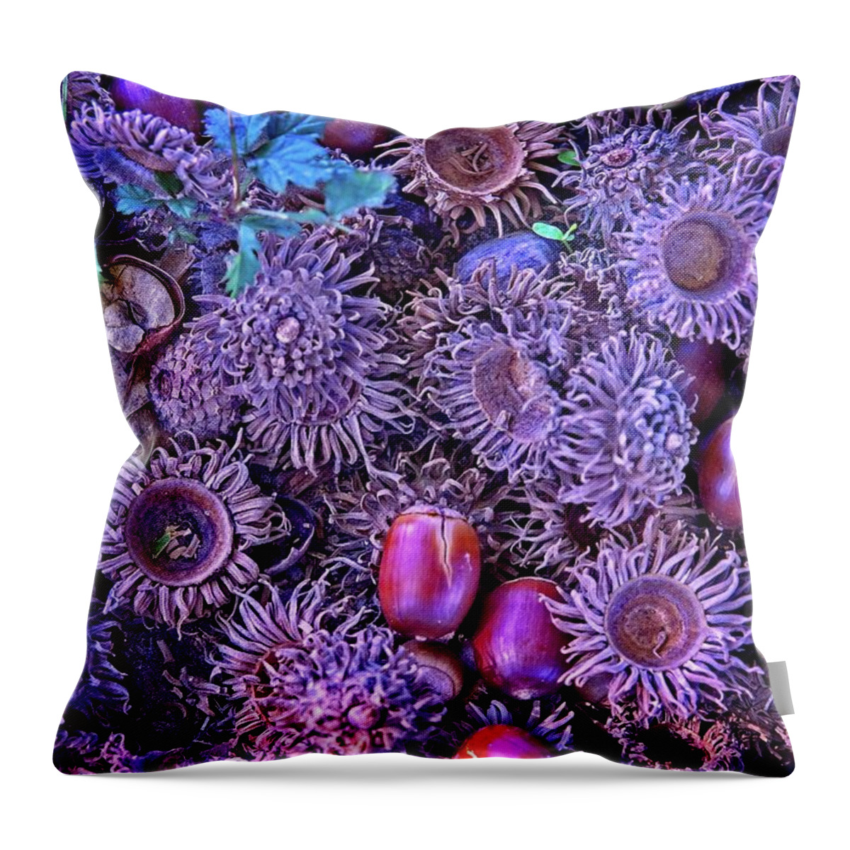 Abstract Throw Pillow featuring the digital art Acorns, Pods, And Seeds by David Desautel