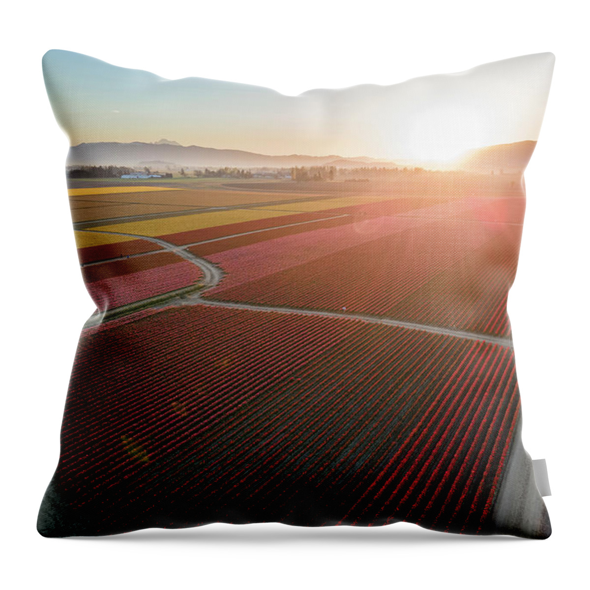 Skagit Throw Pillow featuring the photograph Aerial Tulips1 by Michael Rauwolf
