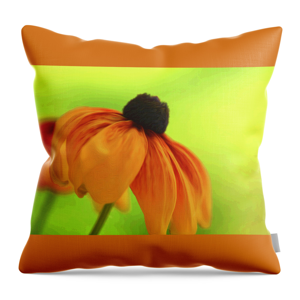 Daisy Throw Pillow featuring the photograph African Daisy by Kathy Paynter