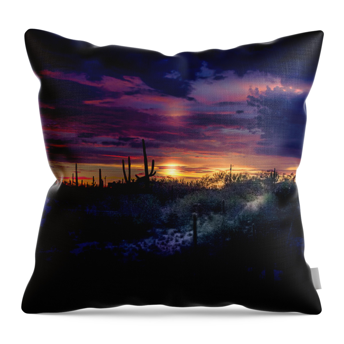 Tucson Throw Pillow featuring the photograph After the monsoon by Micah Offman