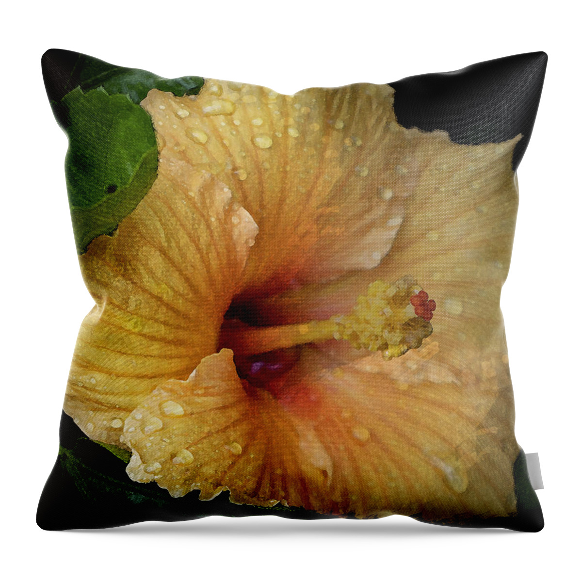 Hibiscus Throw Pillow featuring the photograph After the Rain by M Kathleen Warren