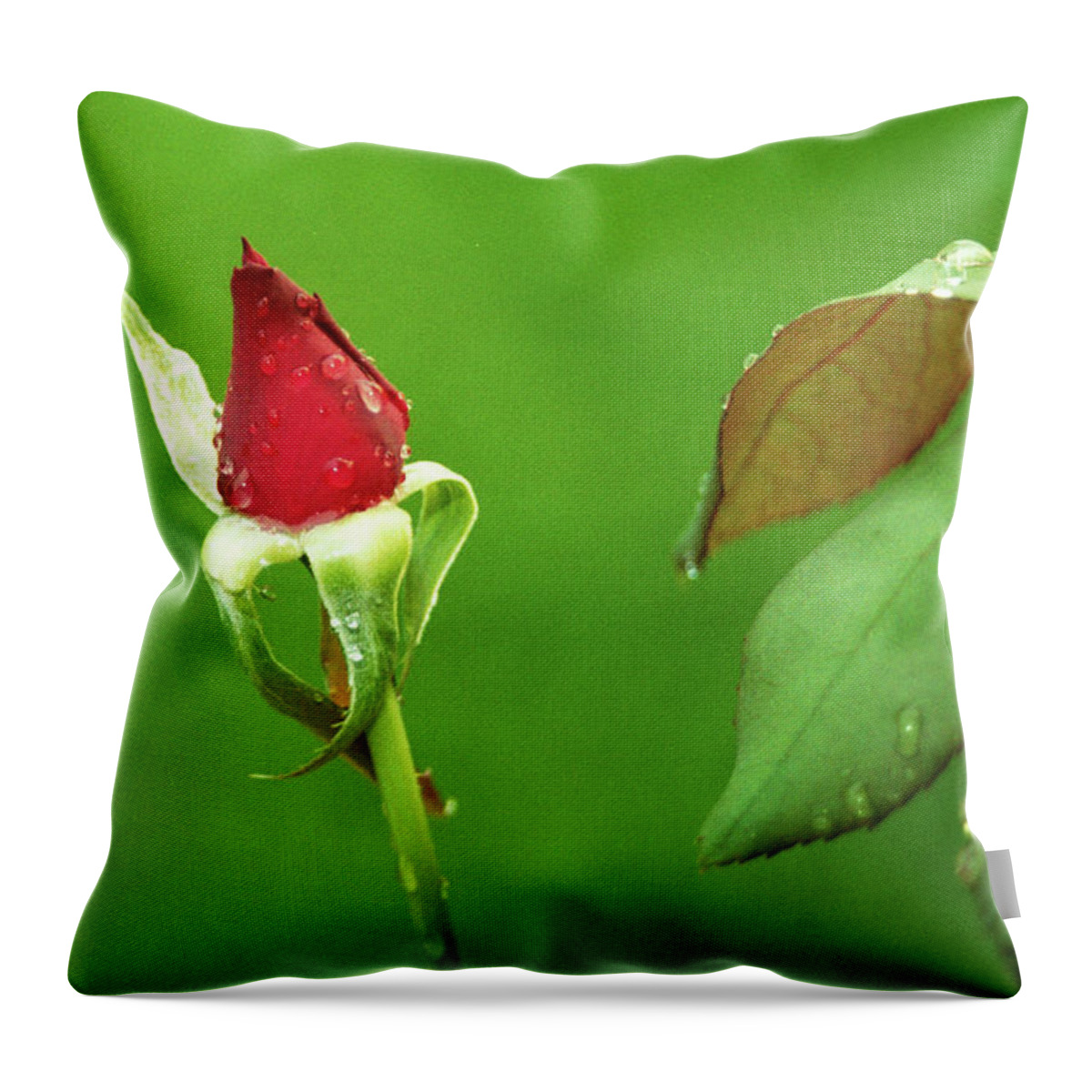 Rose Throw Pillow featuring the digital art After the Storm by Brad Barton