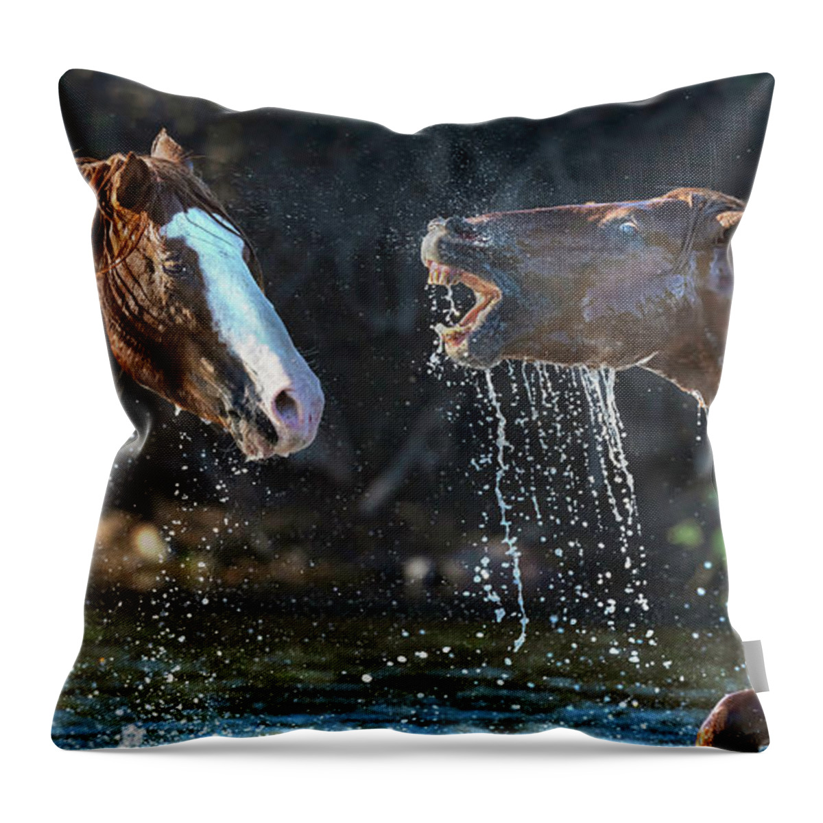 Stallion Throw Pillow featuring the photograph Agitated Stallion. by Paul Martin