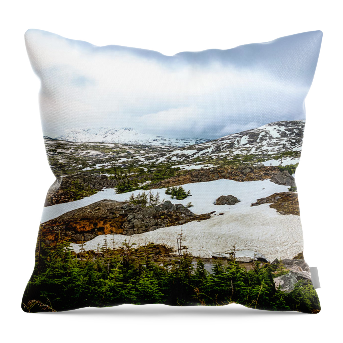 Alaska Throw Pillow featuring the digital art Alaska Inside Passage Springtime by SnapHappy Photos