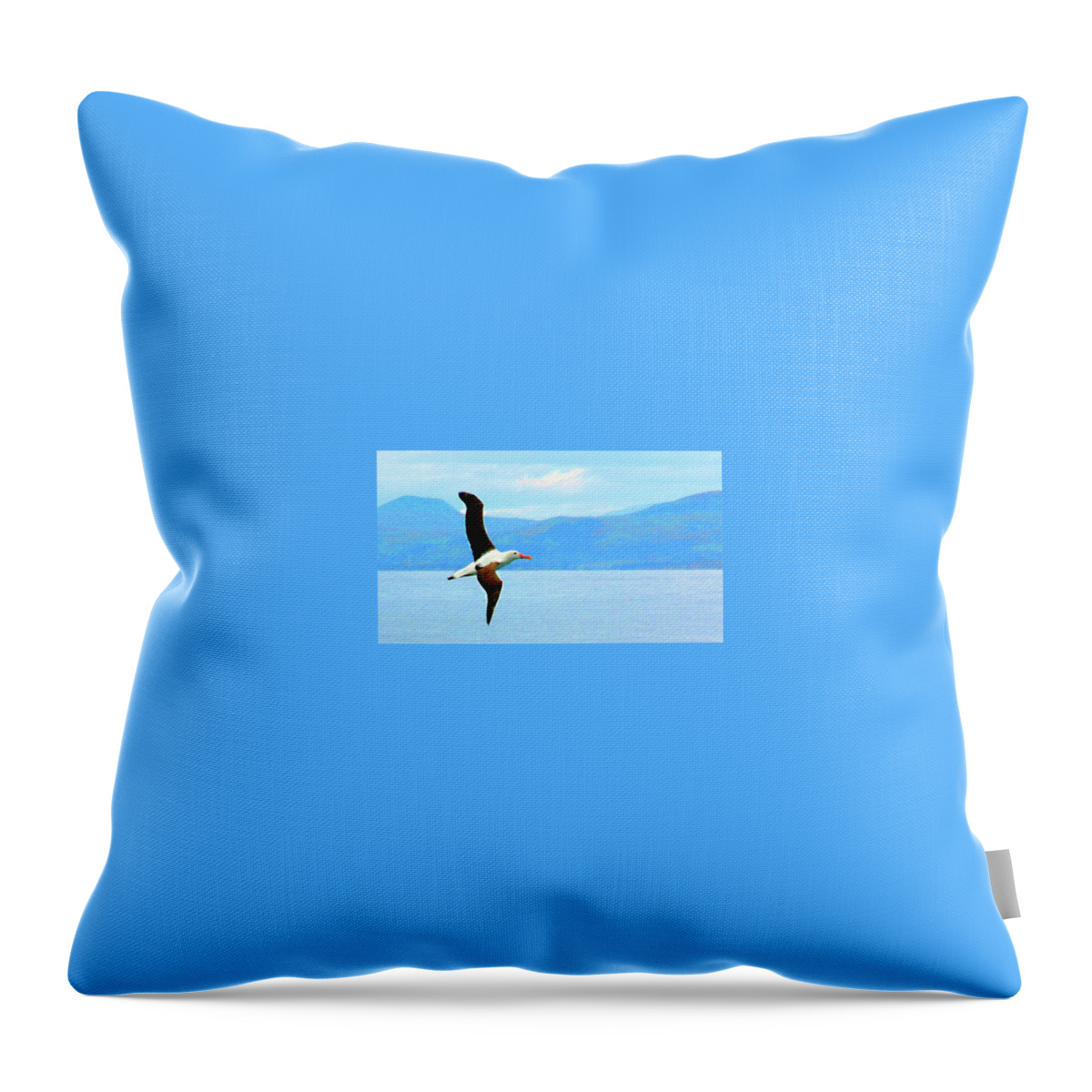 New Zealand Throw Pillow featuring the photograph Albatross flying over Otago new Zealand by Sam Hall