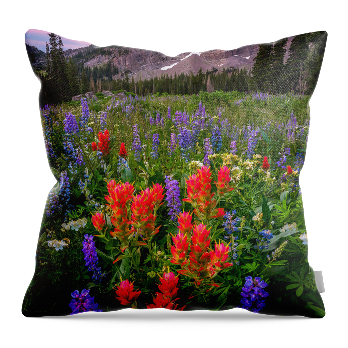 Albion Basin Throw Pillow featuring the photograph Albion Blush by Ryan Smith