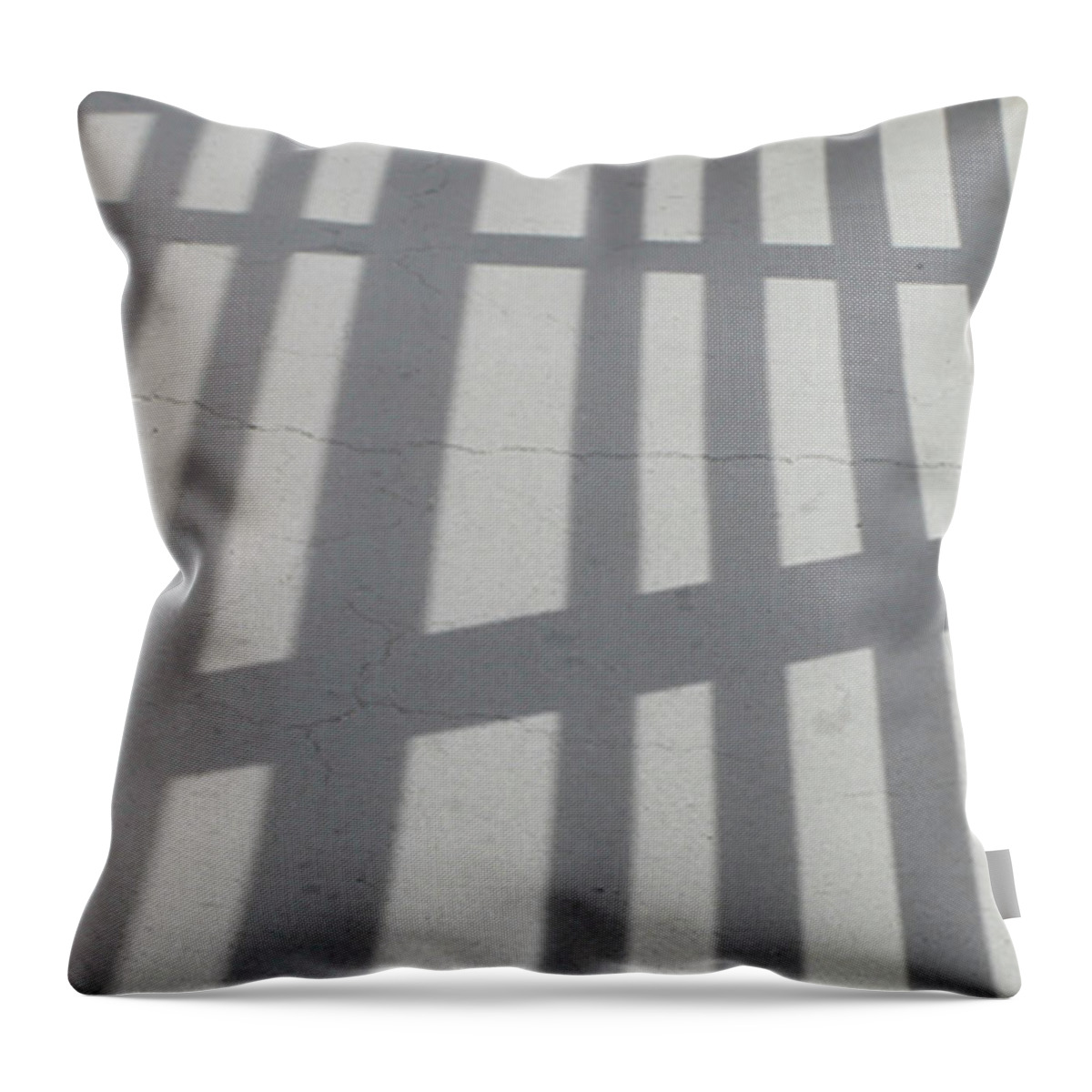 Photograph Throw Pillow featuring the photograph Rillito Wash by Richard Wetterauer