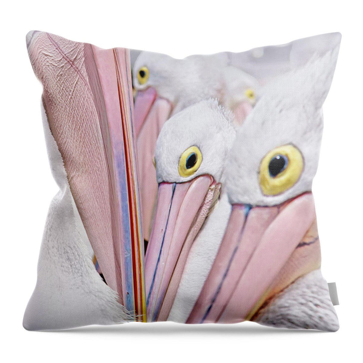 Many Australian Pelicans Throw Pillow featuring the photograph All In It Together by Az Jackson