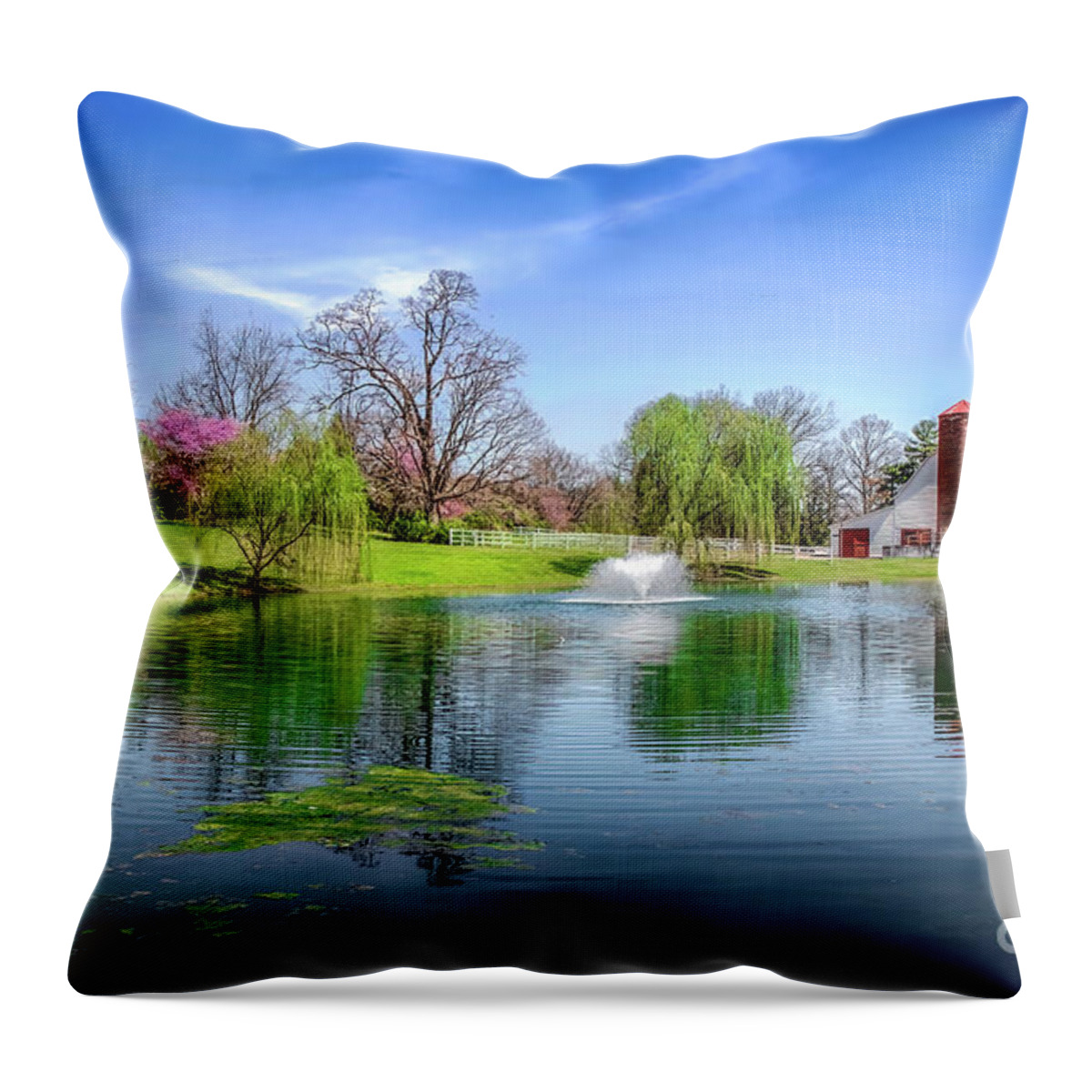 Allandale Throw Pillow featuring the photograph Allandale Lake in Spring by Shelia Hunt