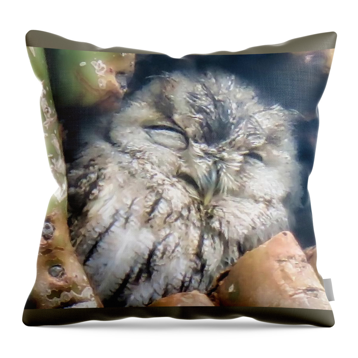 Icon Throw Pillow featuring the photograph Almost Asleep by Judy Kennedy