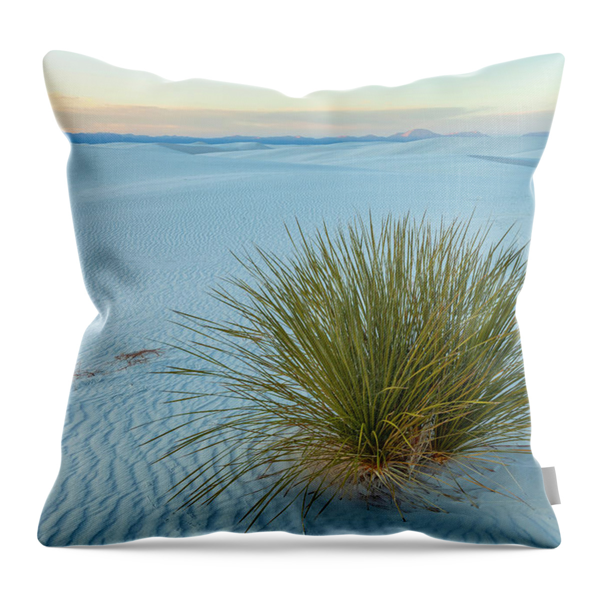 Sand Dunes Throw Pillow featuring the photograph Alone In Desert by Jonathan Nguyen
