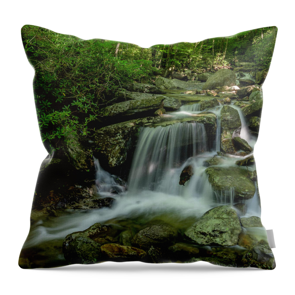 Blue Ridge Mountains Throw Pillow featuring the photograph Along the Creek by Melissa Southern