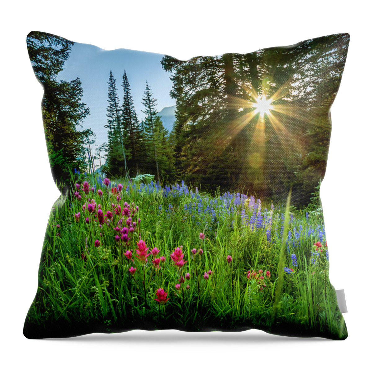 Alta Throw Pillow featuring the photograph Alta Sunset and Wildflowers by Bradley Morris