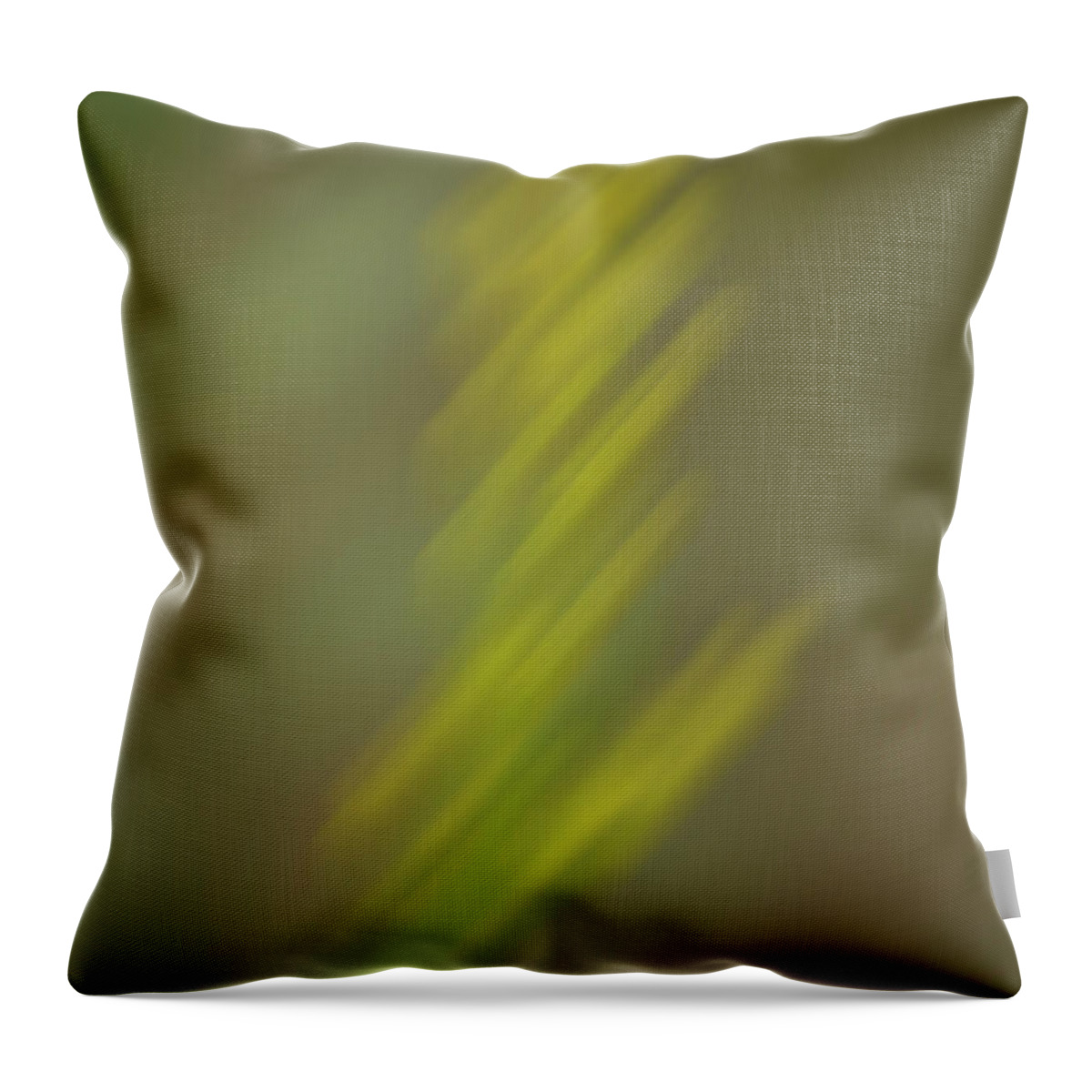 Wildflowers Throw Pillow featuring the photograph Altered Reality 26 - Wildflower ICM Impressionistic Art by DB Hayes