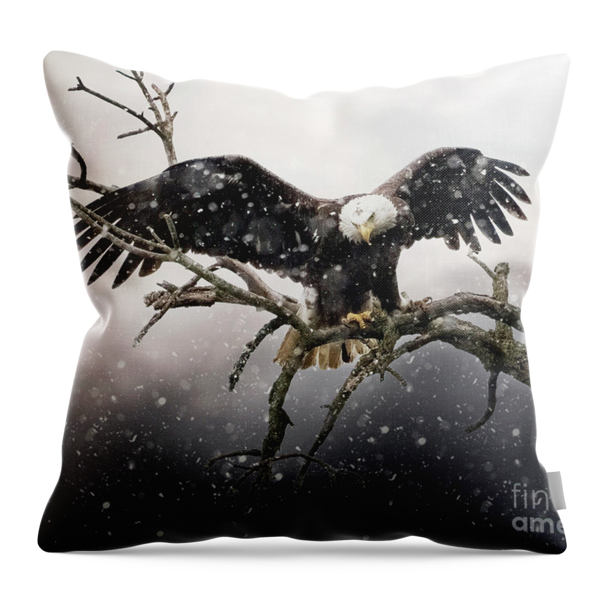 American Bald Eagle Throw Pillow featuring the photograph American Bald Eagle in a Snow Storm by Sandra Rust
