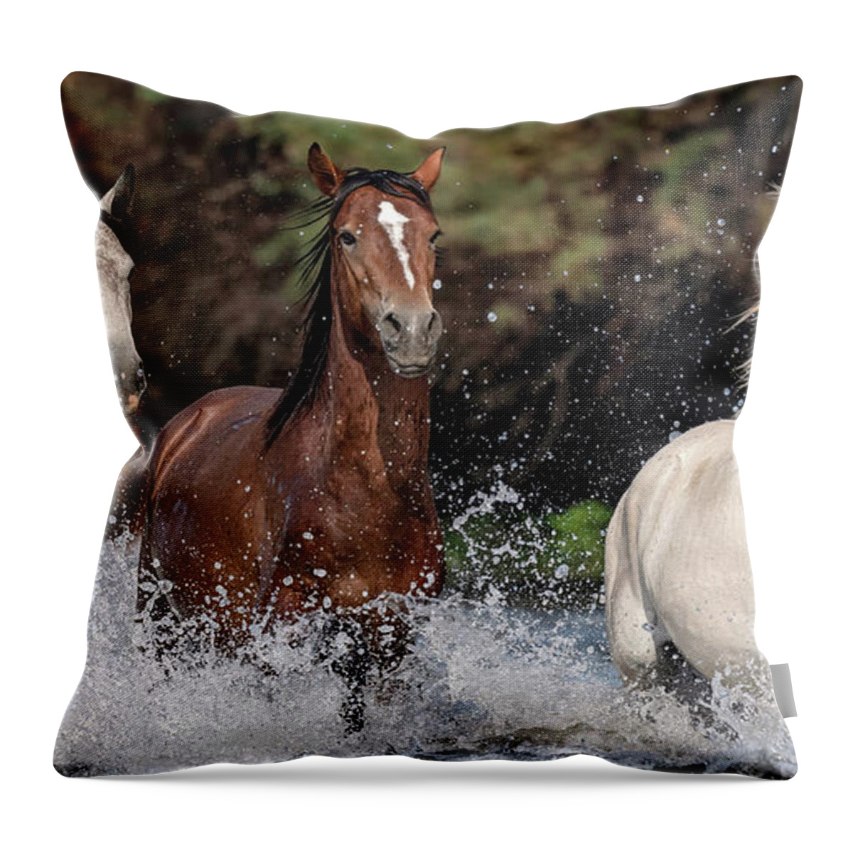 Stallion Throw Pillow featuring the photograph American Stallions. by Paul Martin