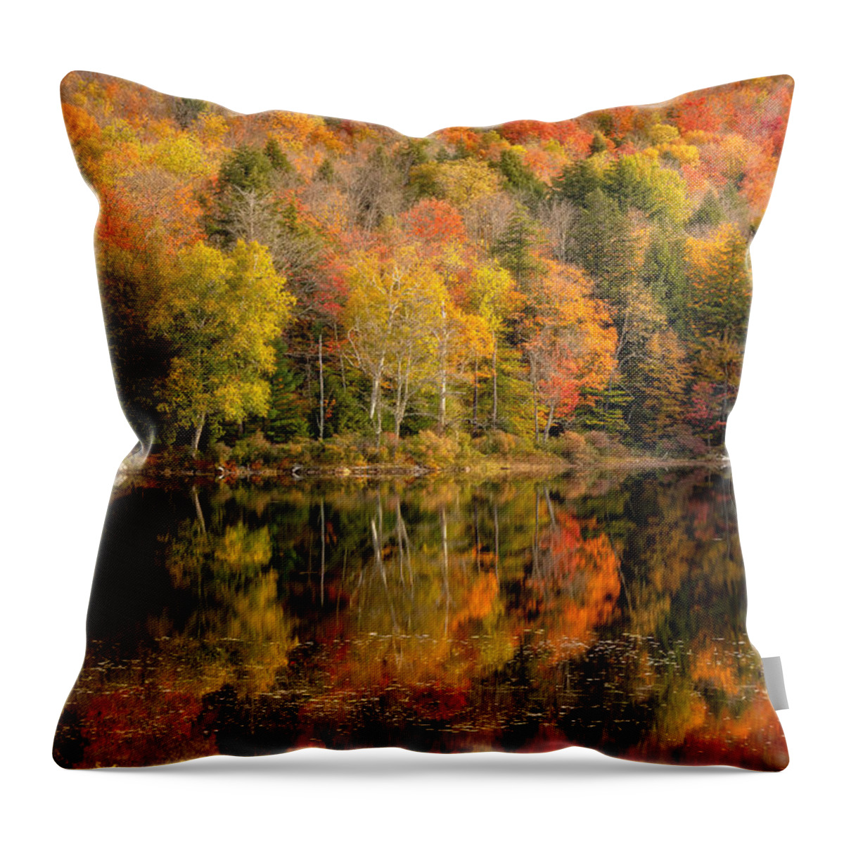Adk Throw Pillow featuring the photograph An Adirondack Autumn by Rod Best