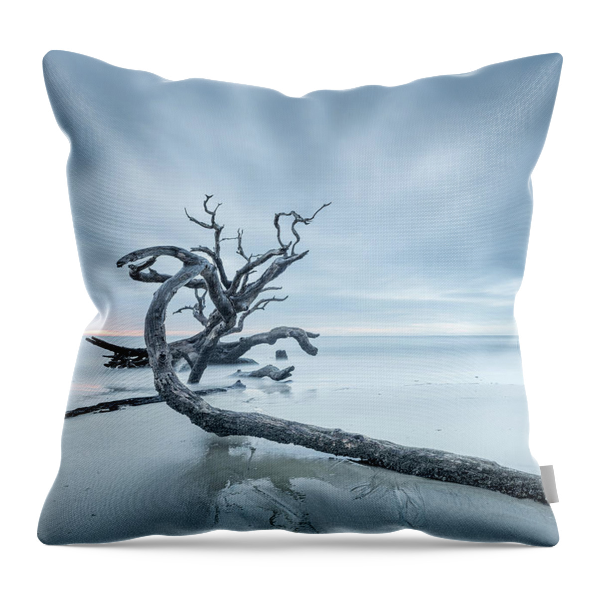 Driftwood Beach Throw Pillow featuring the photograph Ancient Driftwood by Jordan Hill
