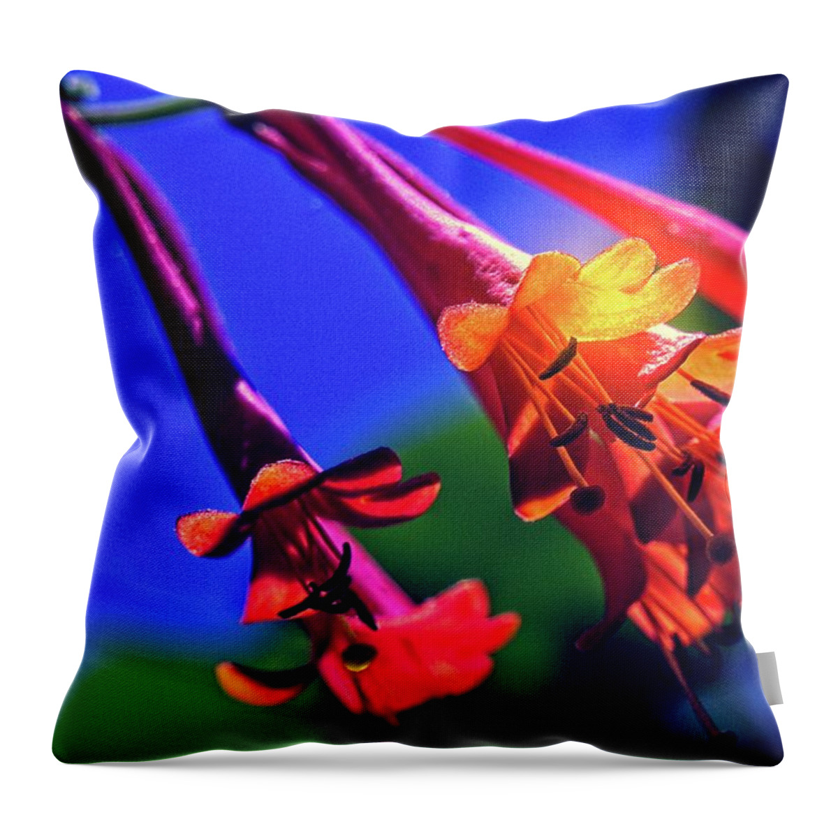 Abstract Throw Pillow featuring the photograph And The Horns Blared by David Desautel