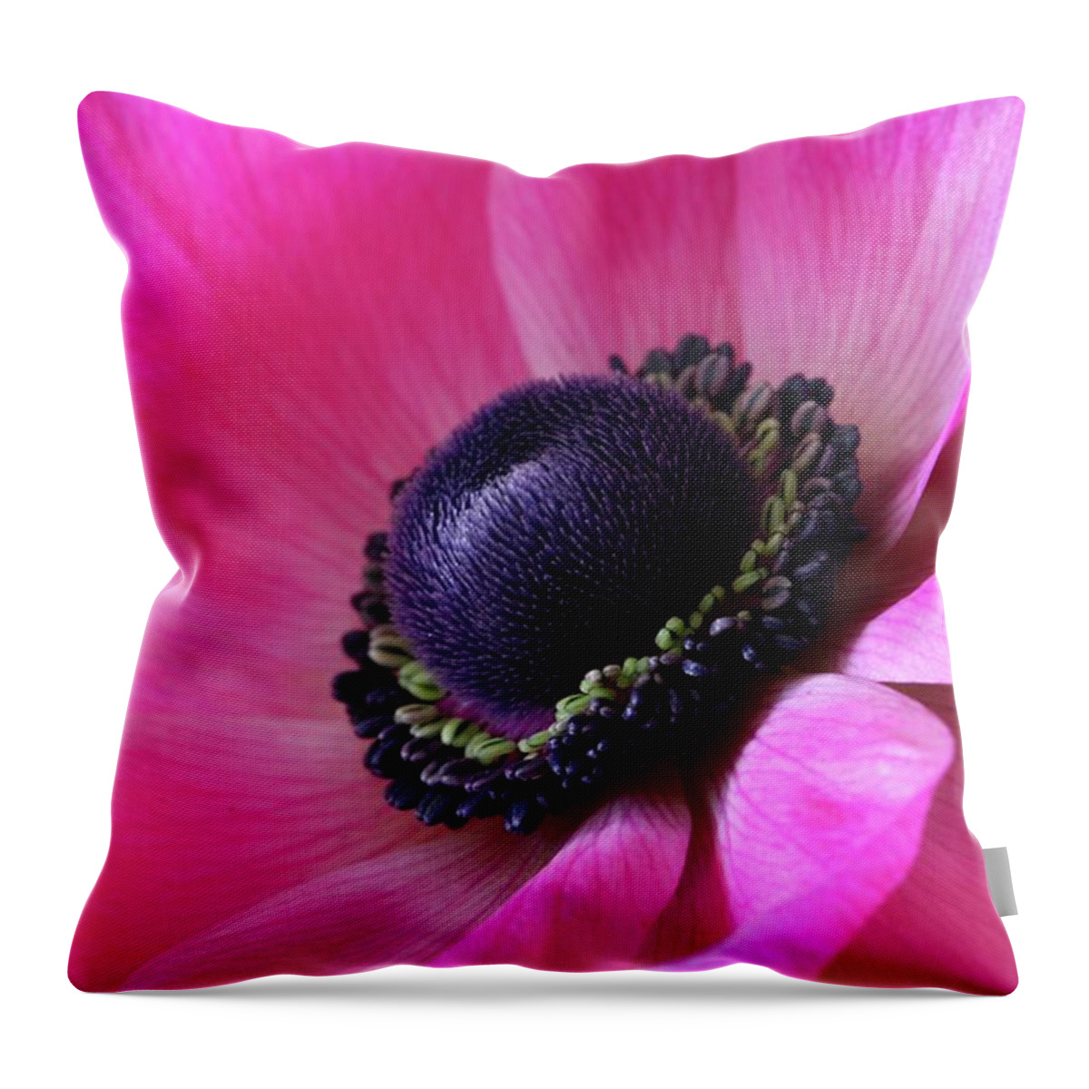 Macro Throw Pillow featuring the photograph Anemone Pink by Julie Powell