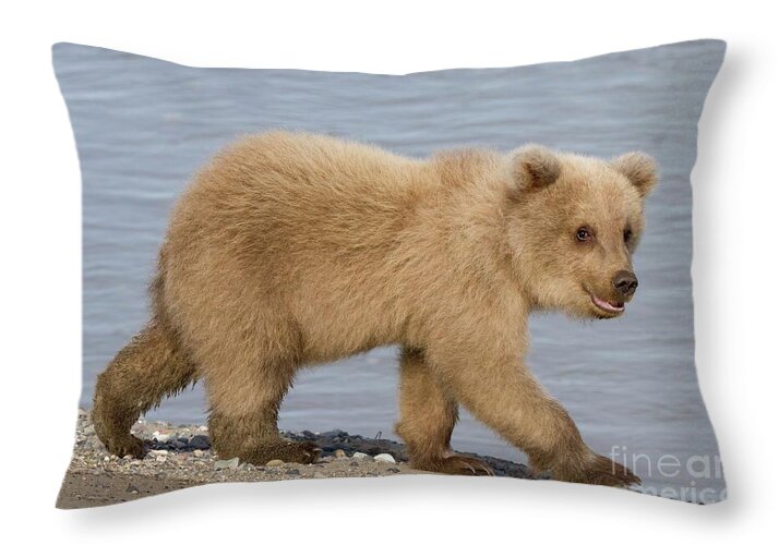 Animal Throw Pillow featuring the photograph Animal Magnetism by Chris Scroggins