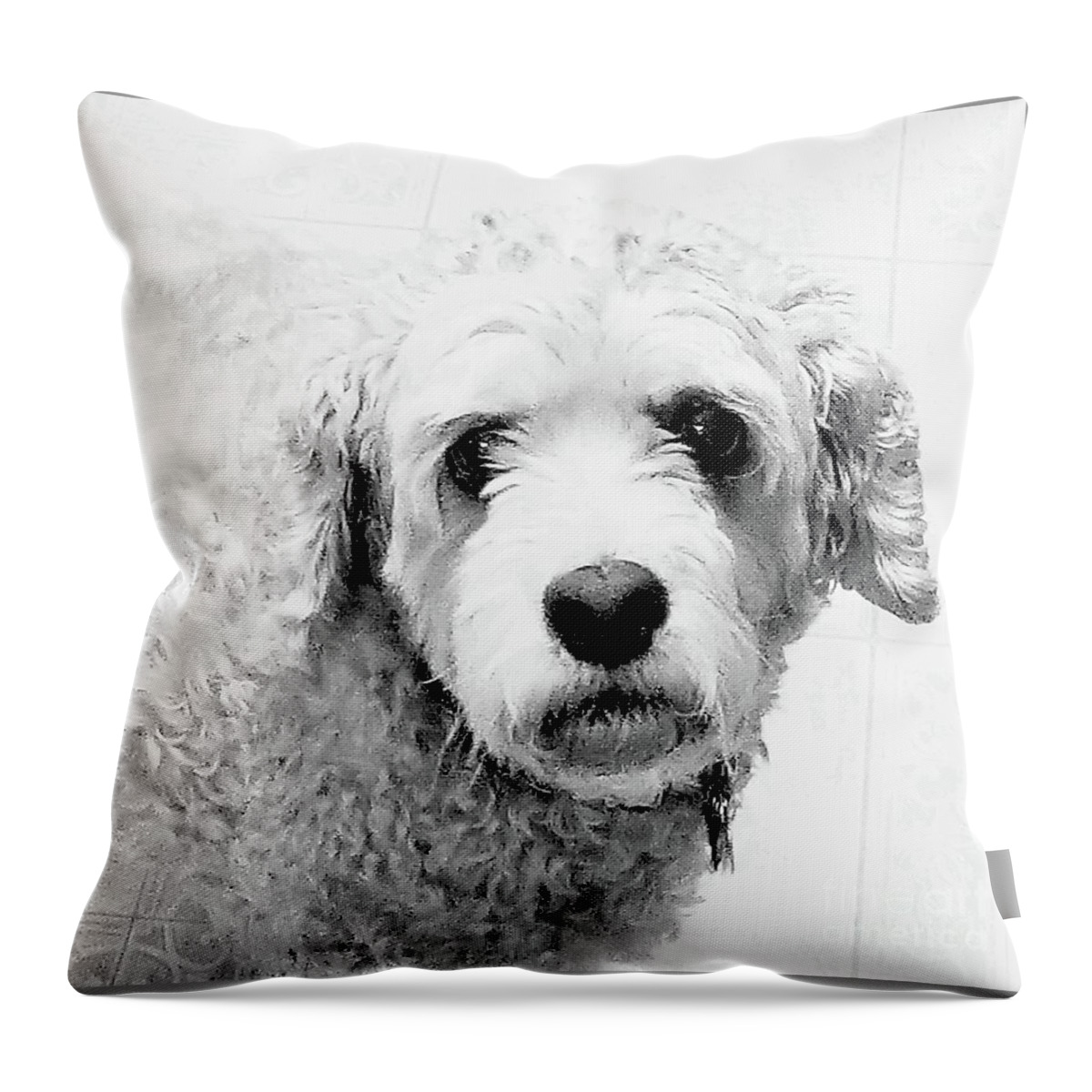 Newby Throw Pillow featuring the photograph Annie by Cindy's Creative Corner