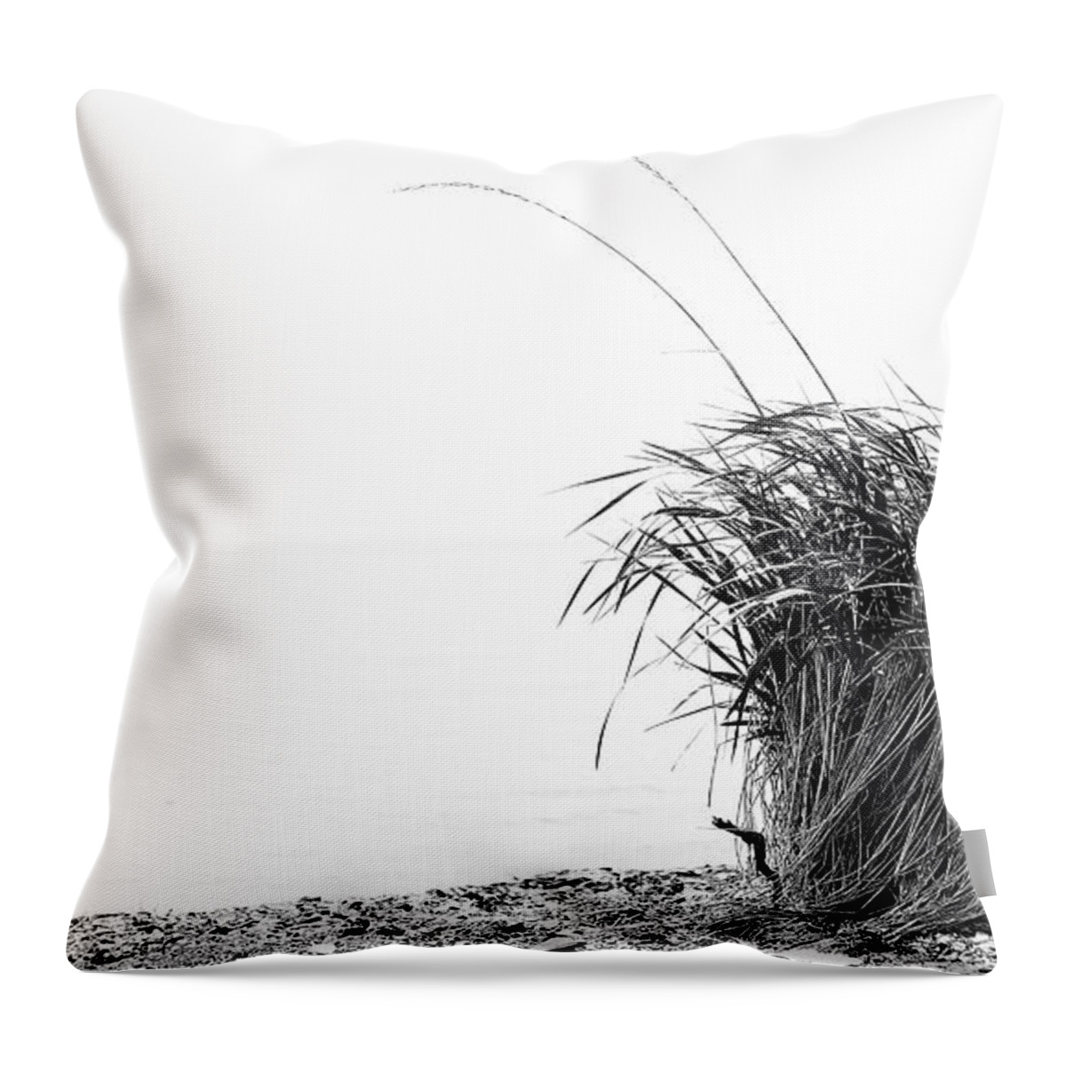 Sea Throw Pillow featuring the photograph Another Kind of Wave by Alan Norsworthy
