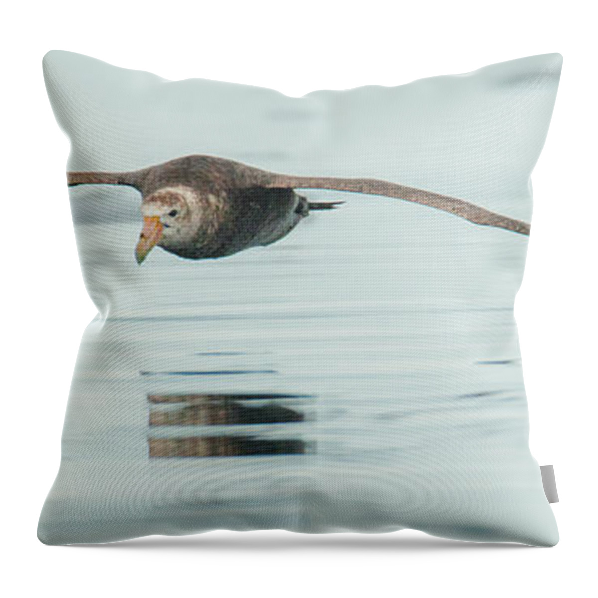 05feb20 Throw Pillow featuring the photograph Antarctic Giant Petrel Low Level Over Fournier Bay by Jeff at JSJ Photography