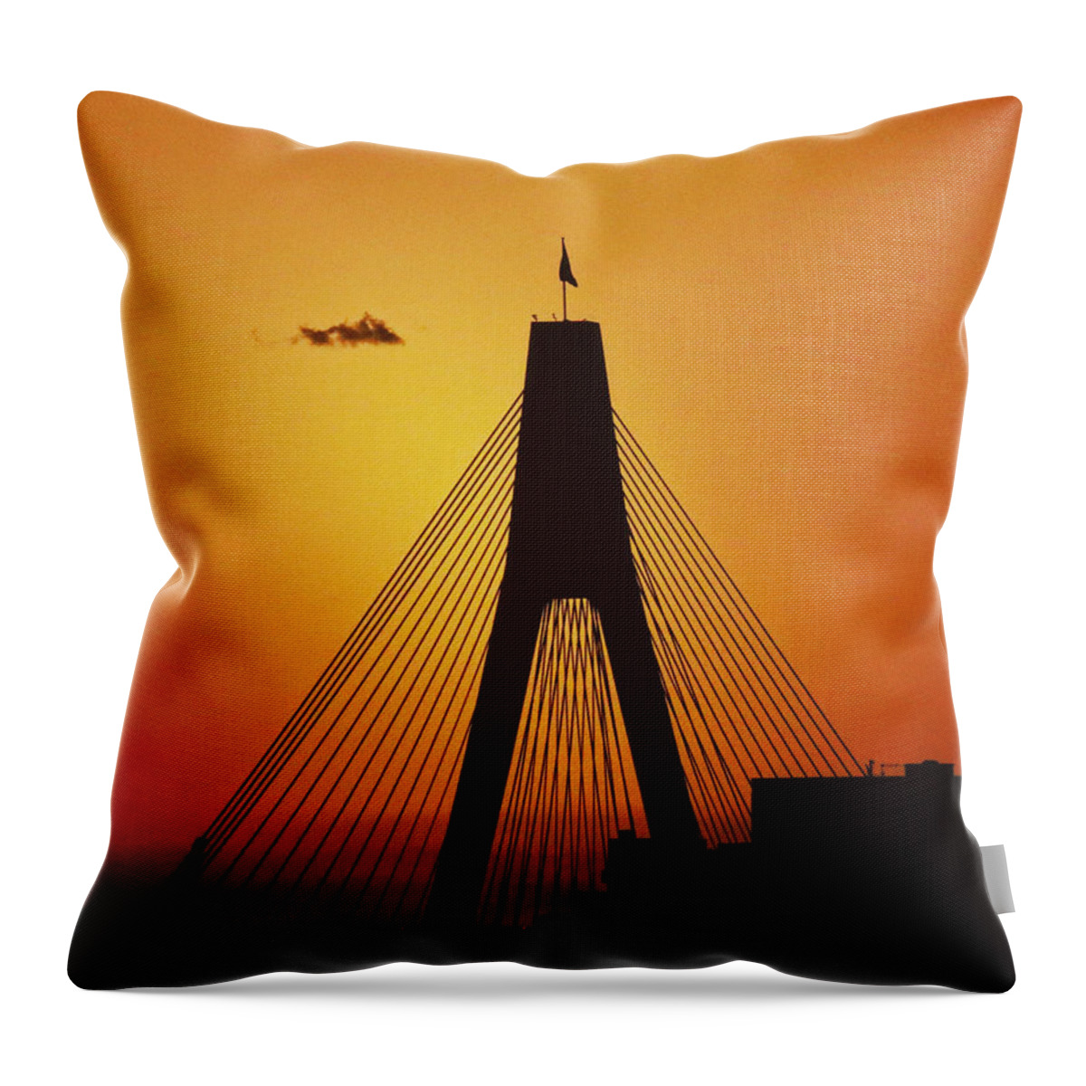 Anzac Throw Pillow featuring the photograph Anzac Bridge by Sarah Lilja