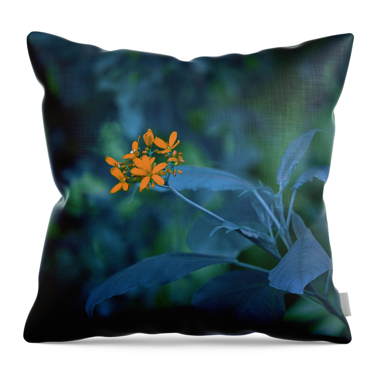 Flowers Throw Pillow featuring the photograph Aquarius of The Realm by Gian Smith