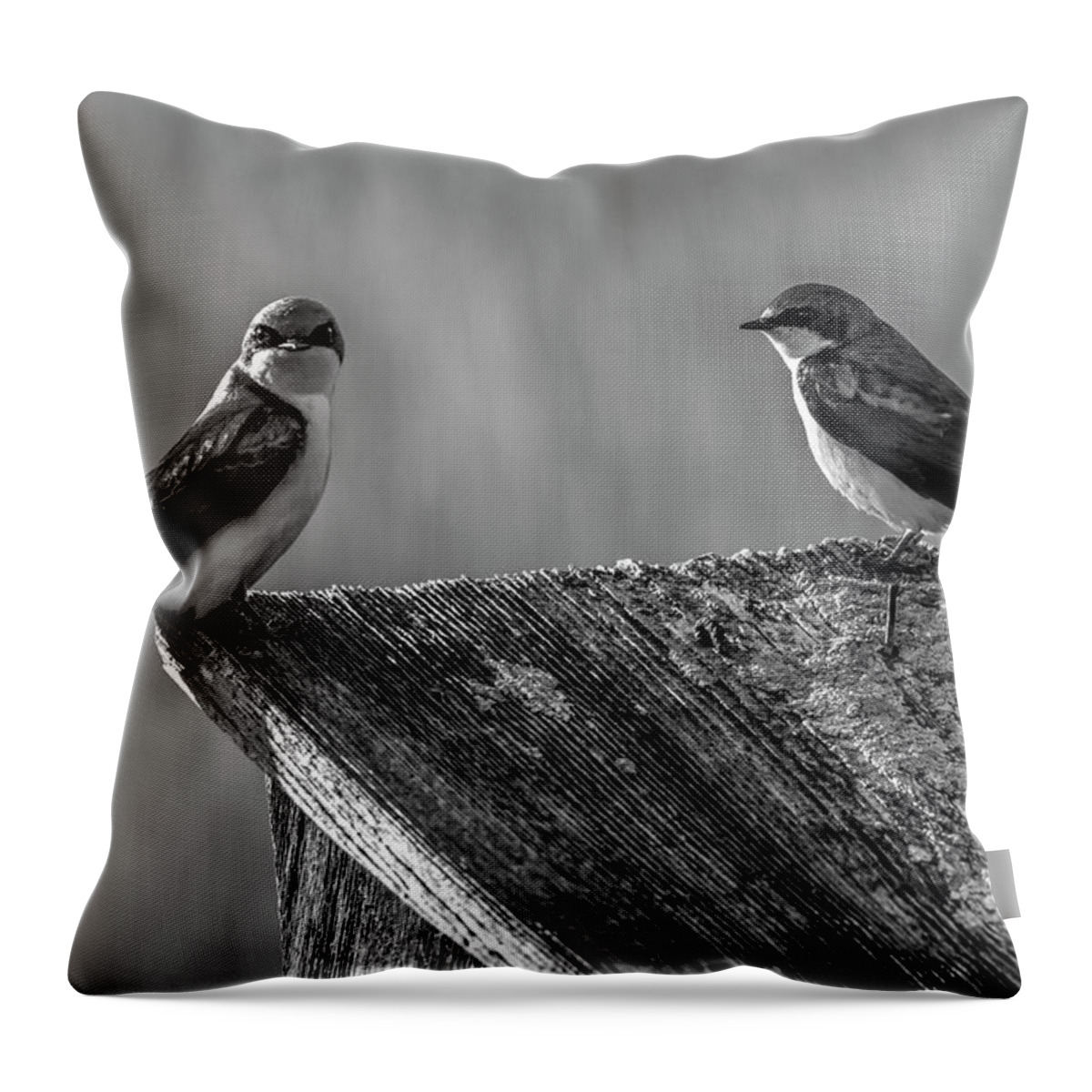 Avian Throw Pillow featuring the photograph Are You Kidding Me by Cathy Kovarik