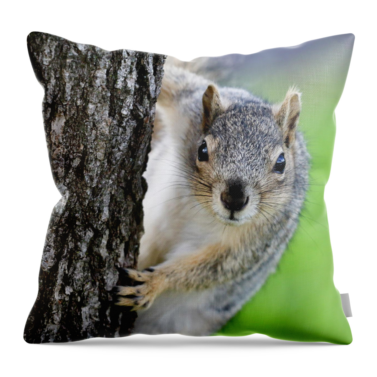Squirrel Throw Pillow featuring the photograph Are you looking at me? by Gary Geddes