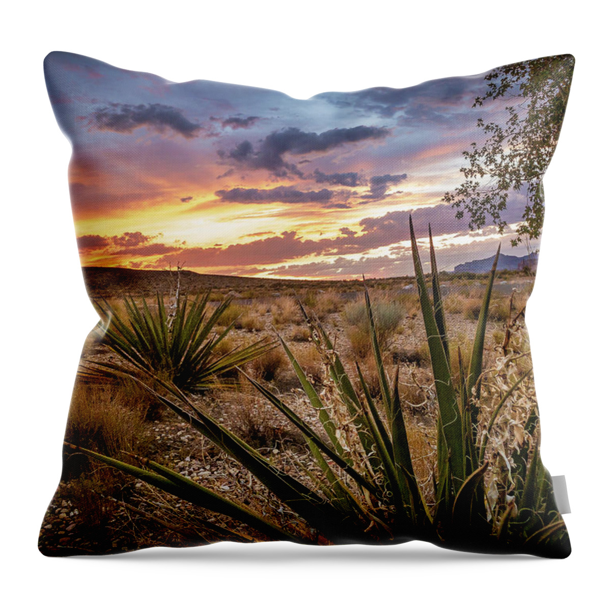 Lake Powell Throw Pillow featuring the photograph Arizona Desert Sunset by Bradley Morris