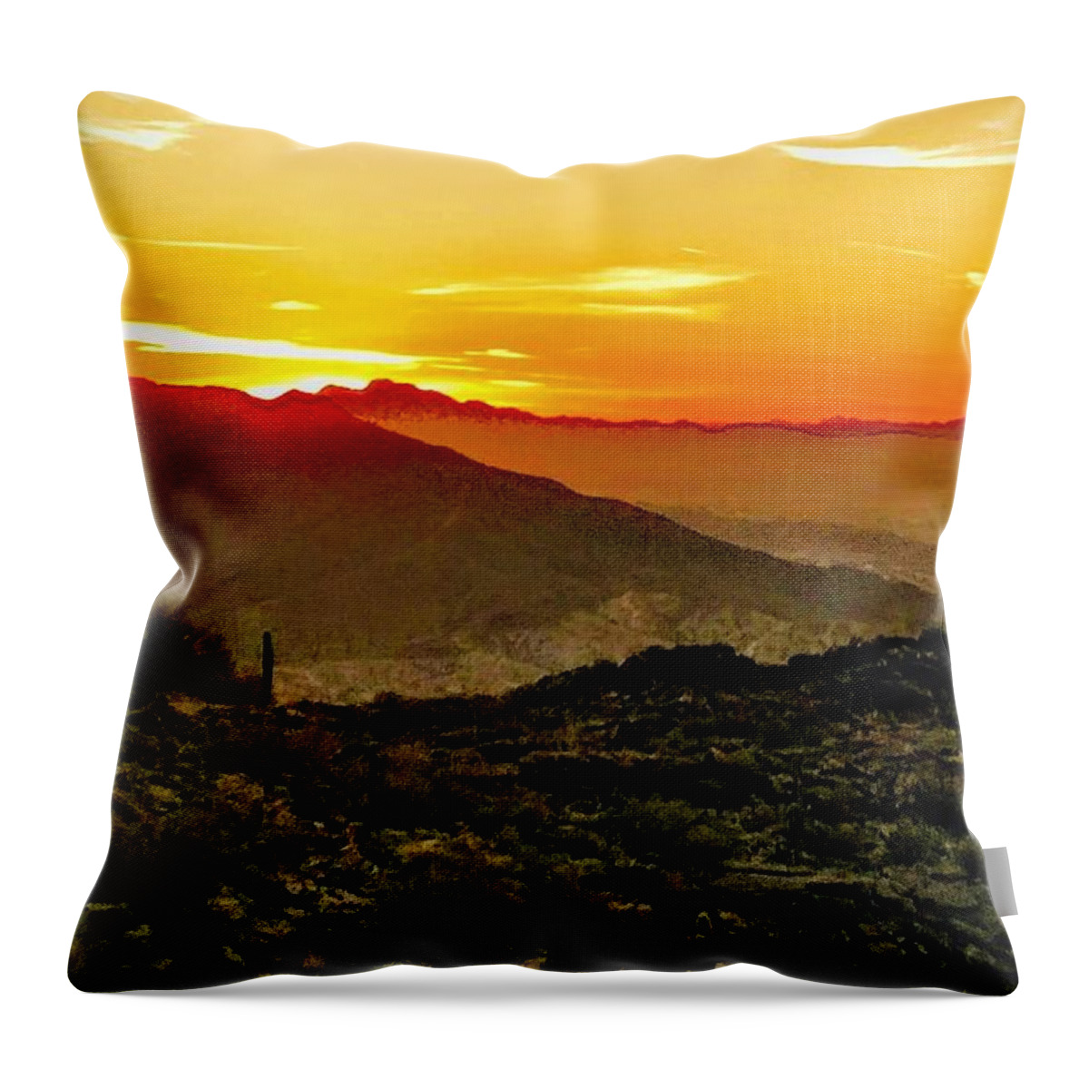  Throw Pillow featuring the photograph Arizona Sunset by Brad Nellis